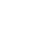 Dick's Sporting Goods