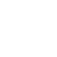 Levy