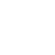 Major League Soccer