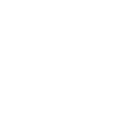 NASCAR